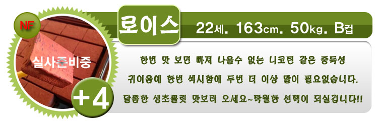 로이스.jpg