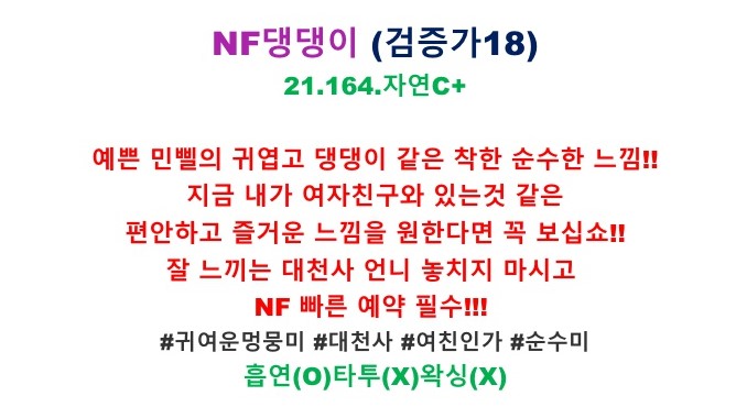 댕댕이_1.jpg