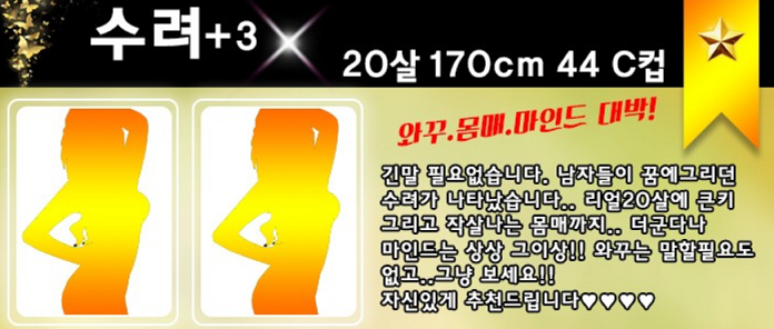 수려.png