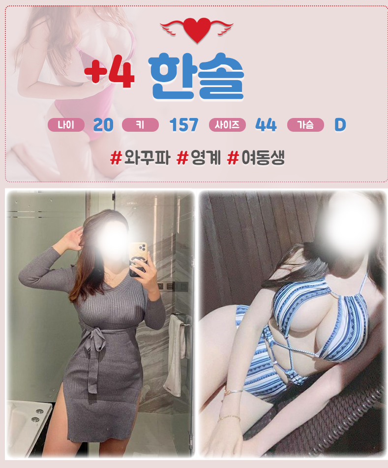 한 솔.png