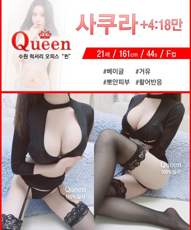 사쿠라.jpg