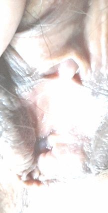별이2IF.gif
