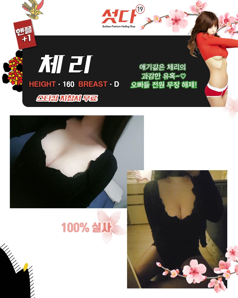 체리 프로필.jpg