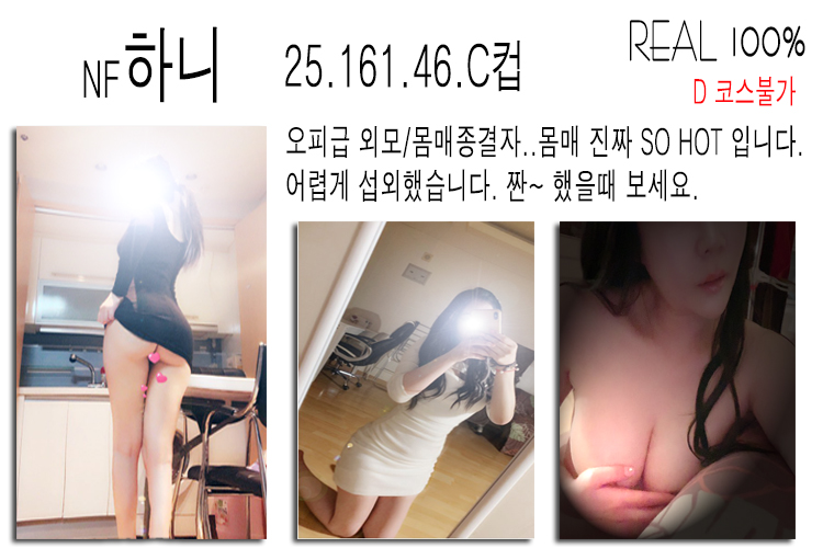 하니플필.jpg