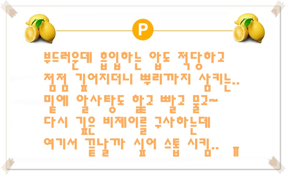 칼리5.jpg