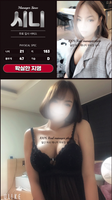 시니.png