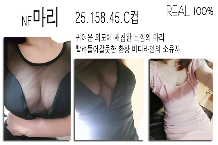 마리플필.jpg
