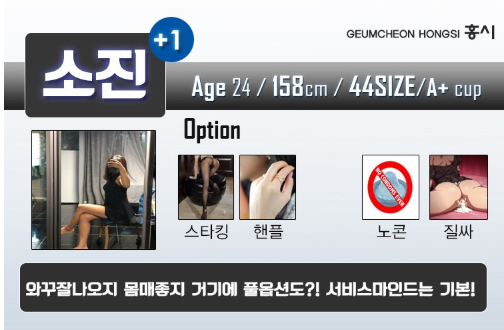 홍시소진.png