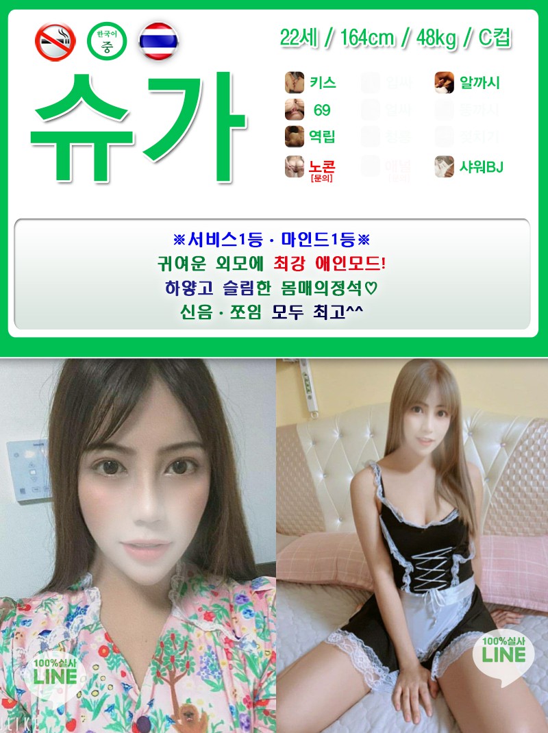 슈가.jpg
