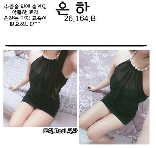 은하 사이트2.jpg