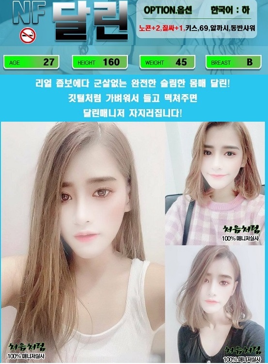 달린플필.jpg
