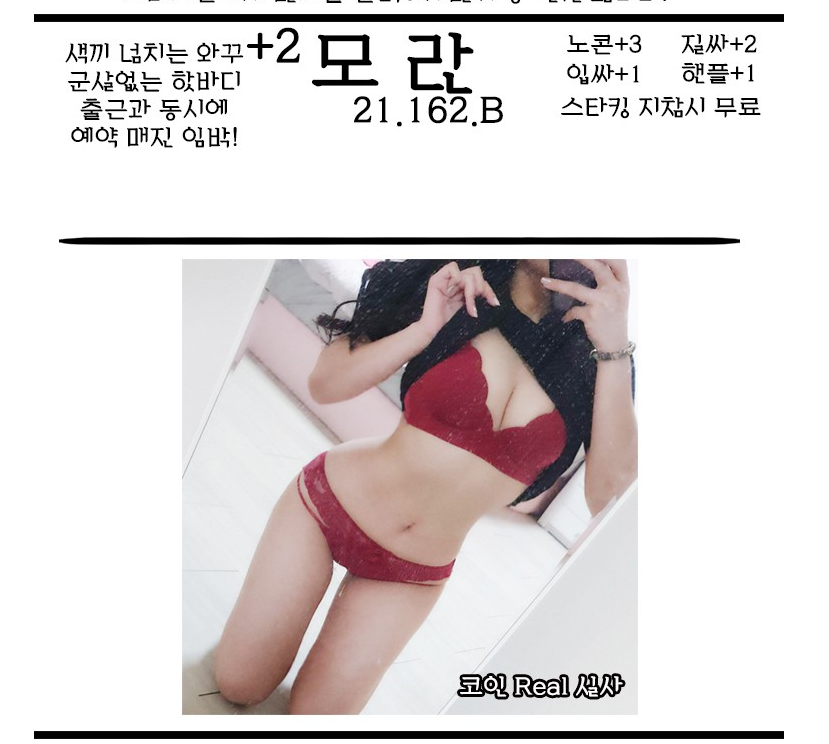 모란.PNG