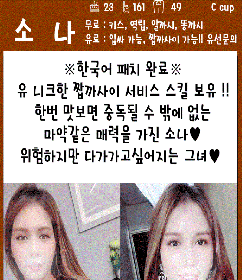 소나2.gif