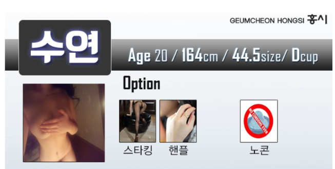 홍시수연.png