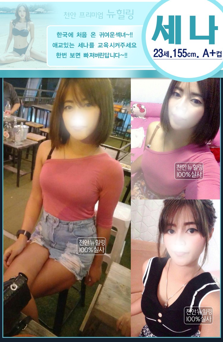 세나.jpg