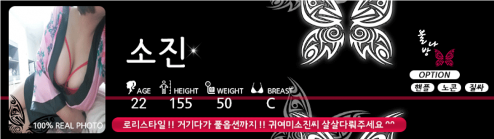 불나방소진.png