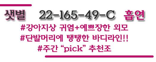 구로 댕이 샛별.JPG