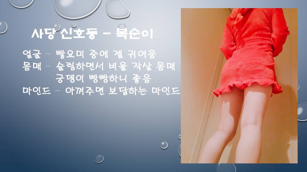 슬라이드1.JPG