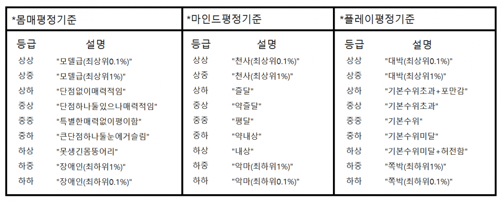 몸마플평정기준.png
