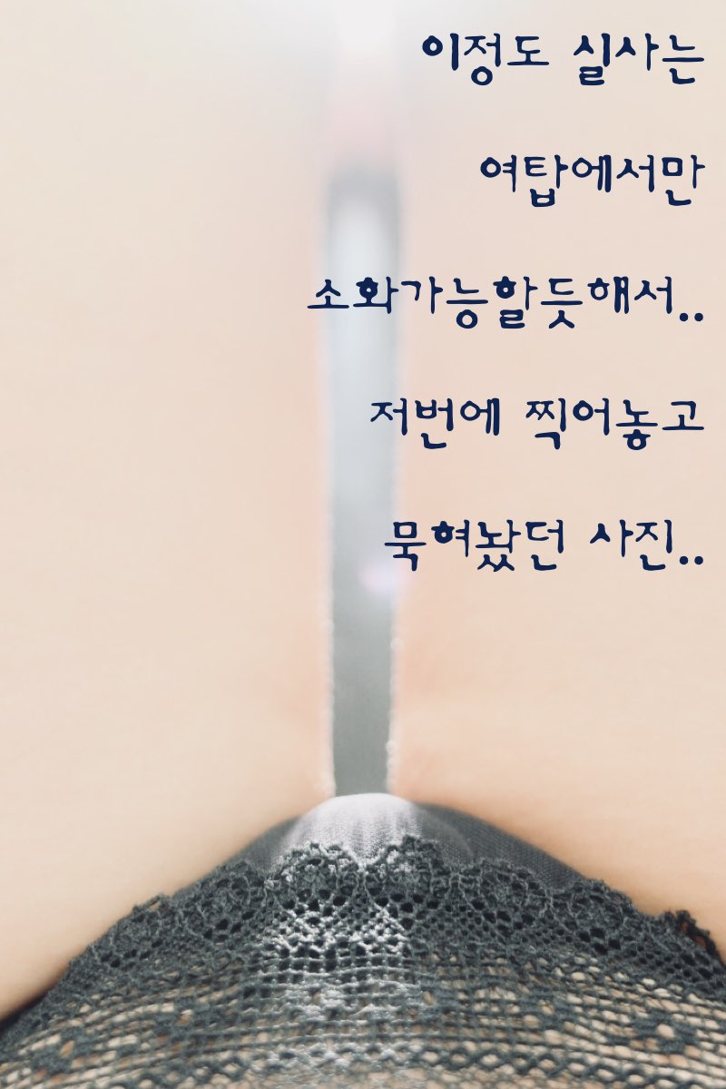 교감 카라2.013.jpg