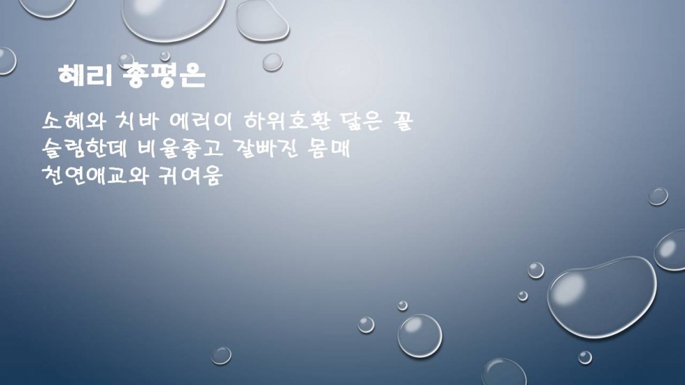 슬라이드10.JPG