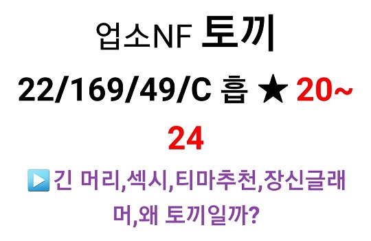 러브라이브 토끼_03.jpg