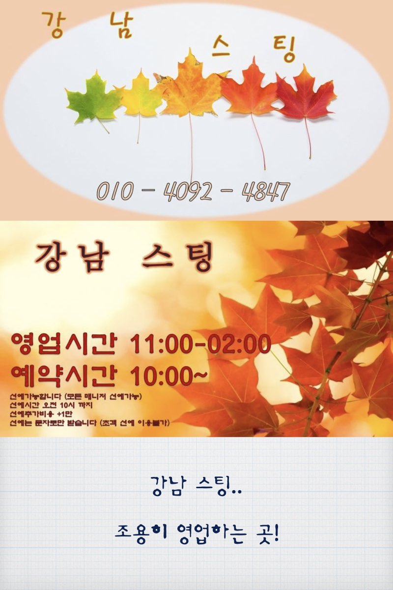 스팅-카이2.003.jpg