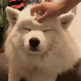 da262780890bc624addf5c2040bdf6e1[1].gif