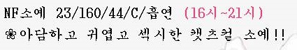 프로필.jpg