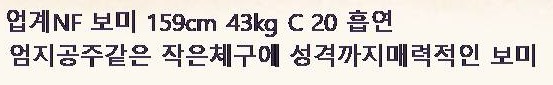 보미.jpg