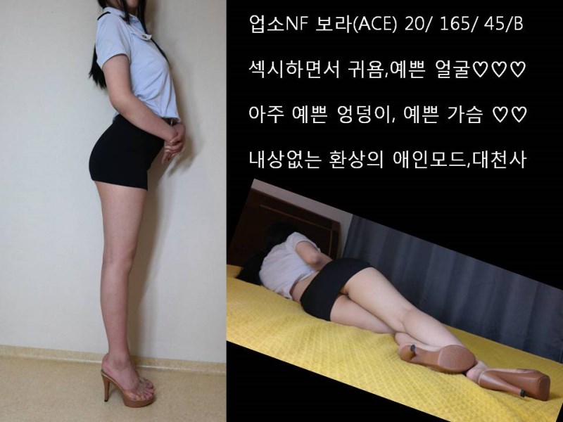 1-4보라프로필6.jpg
