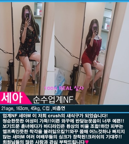 세아프로필.jpg