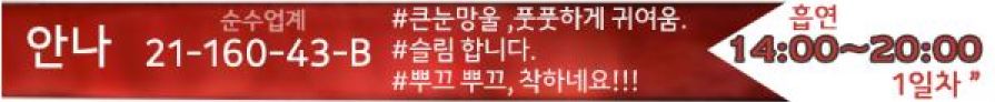 원픽 안나 프로필.JPG