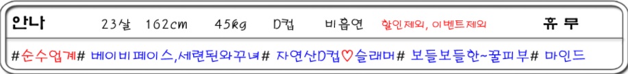 캐슬 안나.jpg