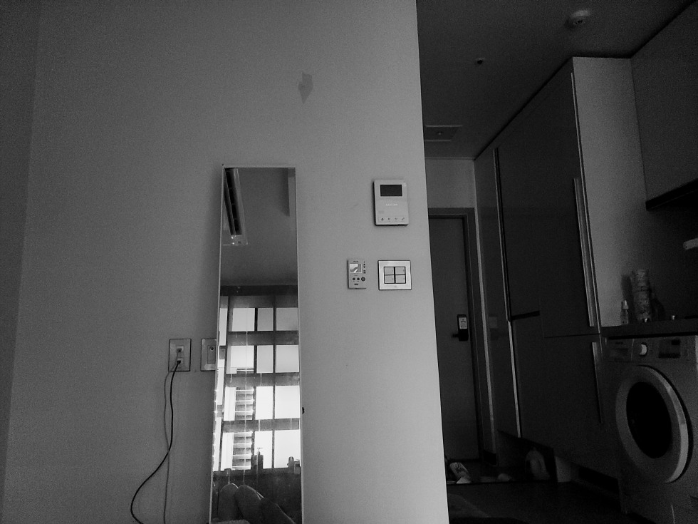 20200629_153413_04.jpg