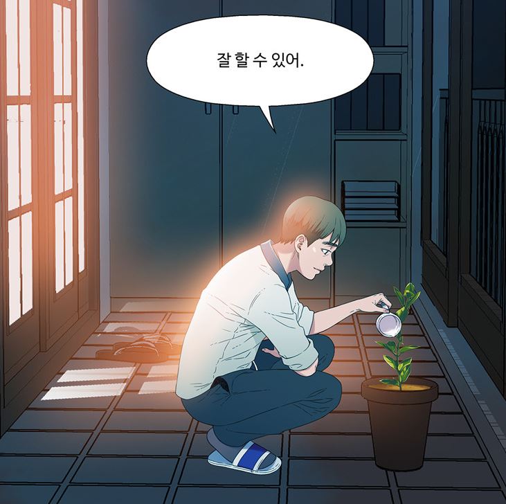 백일홍 1.JPG