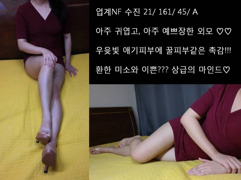 1-9프렌치 수진 프로필1.jpg
