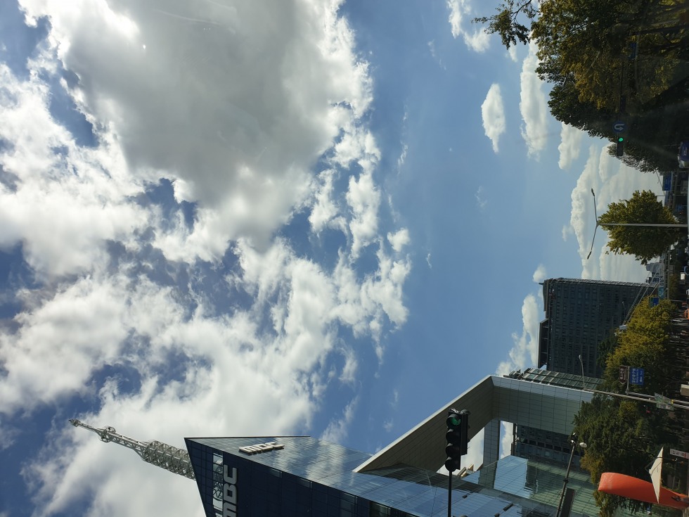 20190923_134805.jpg