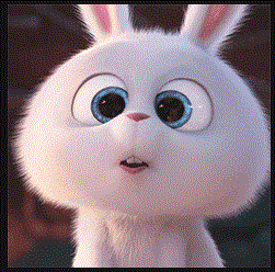 캡처3.GIF