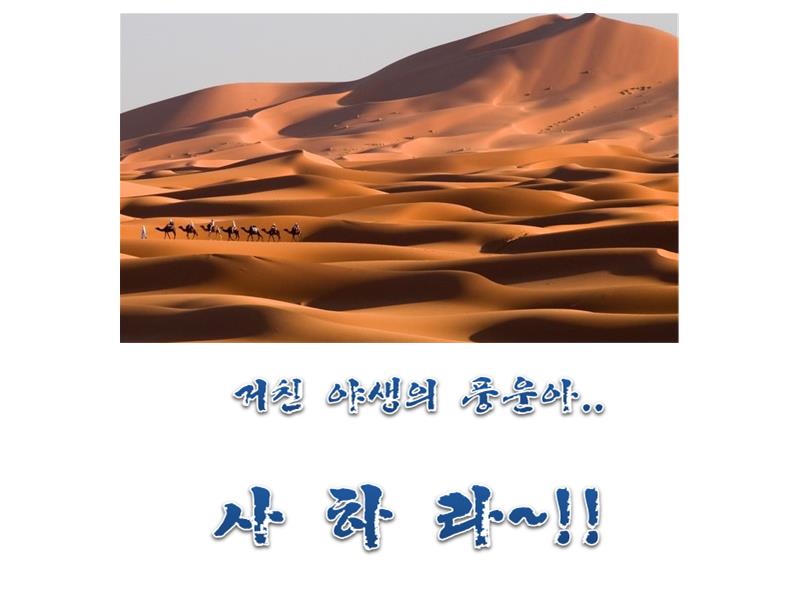 사하라.jpg