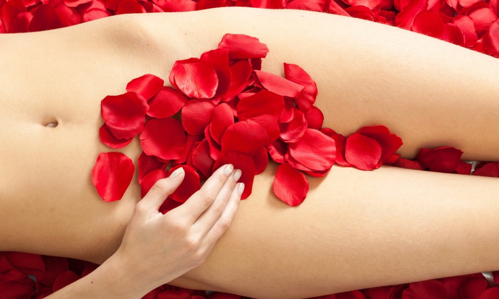 petals.jpg