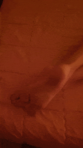20211117_140945.gif