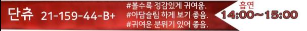 원픽 단츄 프로필.JPG