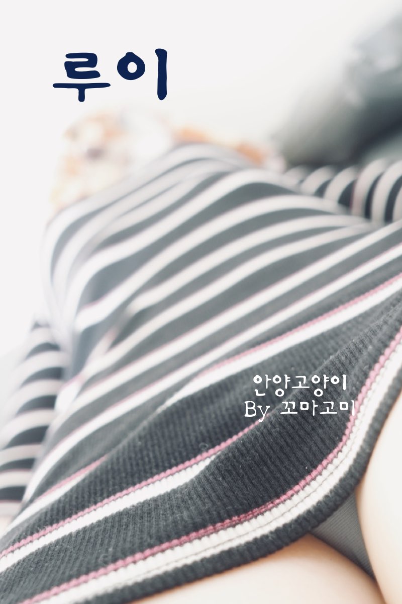 안양고양이 루이.001.jpg