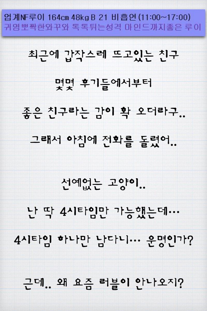 안양고양이 루이.005.jpg