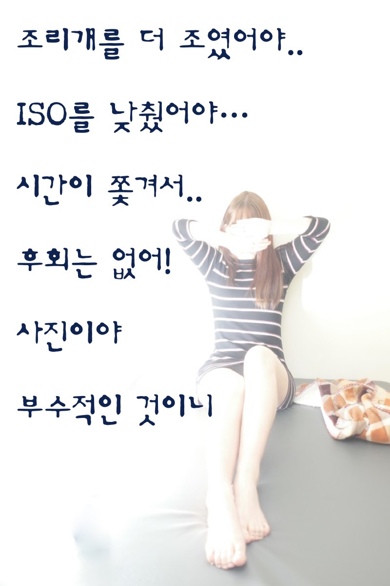 안양고양이 루이.021.jpg