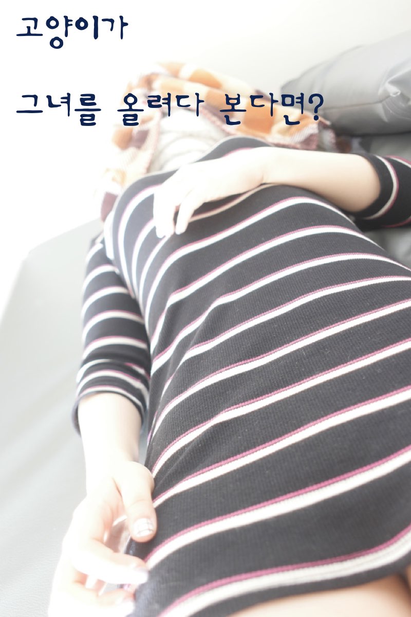안양고양이 루이.019.jpg