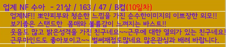 프로필.jpg