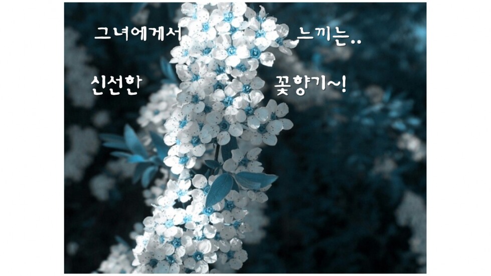 연수5.jpg