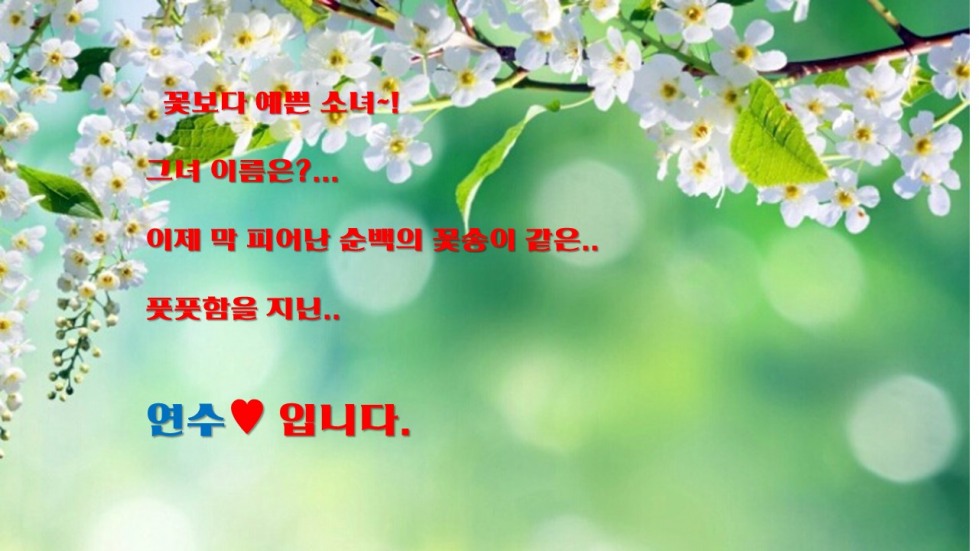 연수4.jpg